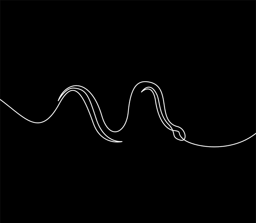 10 One-Line Animations To Remind Us Of Nature's Beauty And Fragility