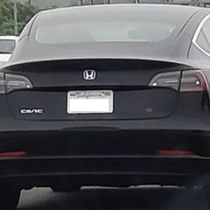 Rear of a Tesla with altered Honda and Civic logos, reflecting worried owners amid Elon Musk controversy. Rear of a Tesla with altered Honda and Civic logos, reflecting worried owners amid Elon Musk controversy.