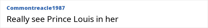 User comment highlighting resemblance to Prince Louis. User comment highlighting resemblance to Prince Louis.