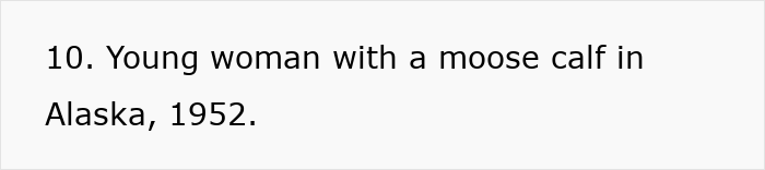 Young woman with a moose calf in Alaska, 1952, showcasing everyday American life from the past. Young woman with a moose calf in Alaska, 1952, showcasing everyday American life from the past.