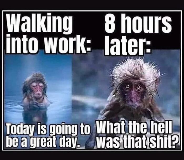 Expectation vs Reality Check