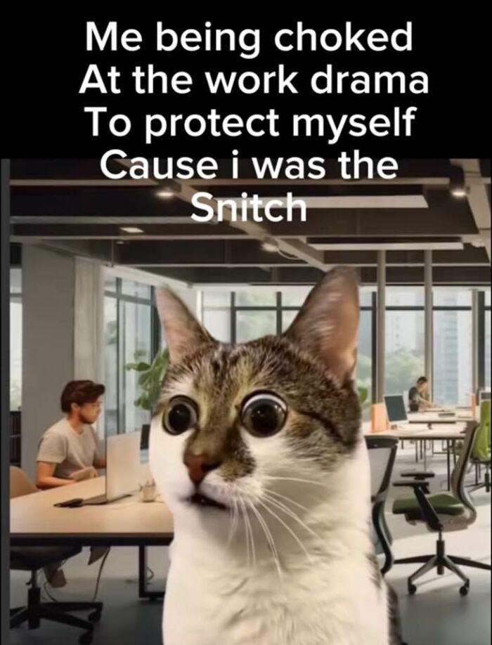 Caught in the Wild Office