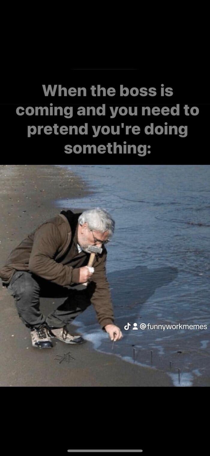 Master Of Distraction 