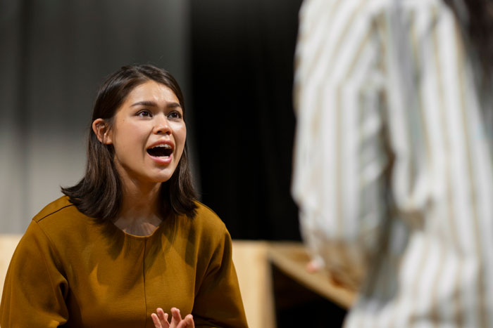 Woman in brown shirt talking emotionally to another person, discussing a handsome crush. Woman in brown shirt talking emotionally to another person, discussing a handsome crush.
