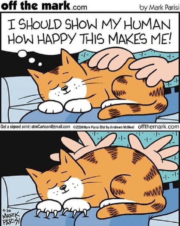 Cartoon cat contently purring while human hand pets it, illustrating life with a cat humor.