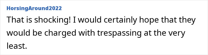Comment discussing potential trespassing charges for neighbors in a woman's late mom's house situation. Comment discussing potential trespassing charges for neighbors in a woman's late mom's house situation.