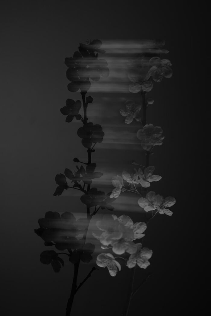 Gradient Loss - 05 March 2025 (00:21)