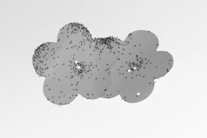 Gradient Loss - 07 April 2025 (13:36)