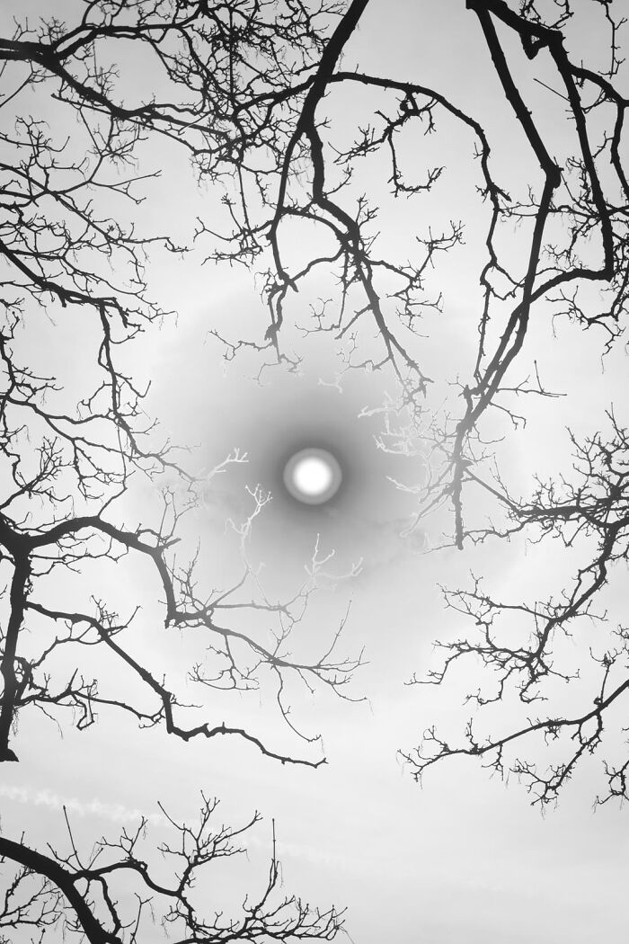 Gradient Loss - 09 March 2025 (14:19)