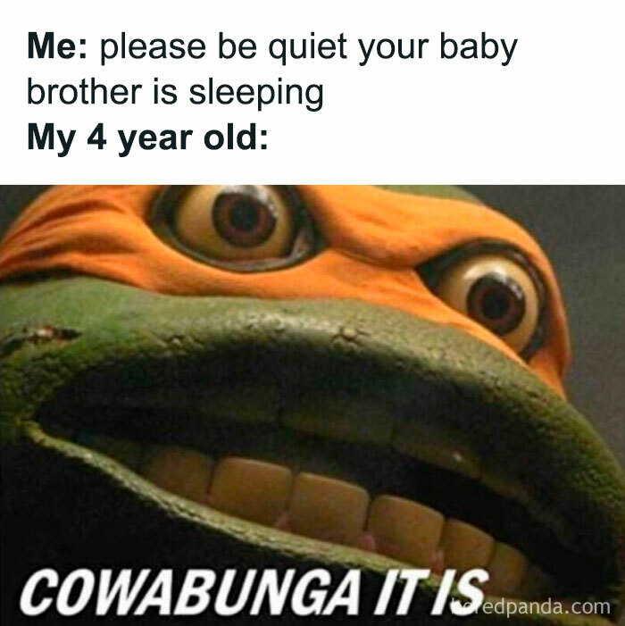 Funny parenting meme featuring a close-up of a Teenage Mutant Ninja Turtle with wide eyes and text about a noisy 4-year-old.