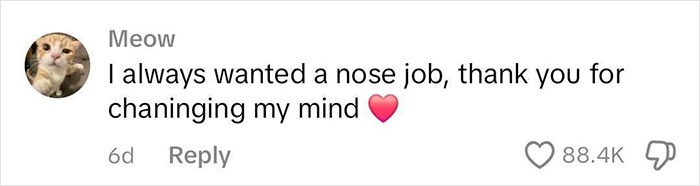 Comment on nose job, expressing gratitude for changing perspective, with a cat avatar and heart emoji. Comment on nose job, expressing gratitude for changing perspective, with a cat avatar and heart emoji.