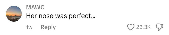 Comment on viral video about nose job, reads "Her nose was perfect," with high engagement. Comment on viral video about nose job, reads "Her nose was perfect," with high engagement.