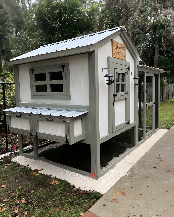 Woodworking project showcasing a beautifully crafted modern chicken coop with clean lines and functional design outdoors.