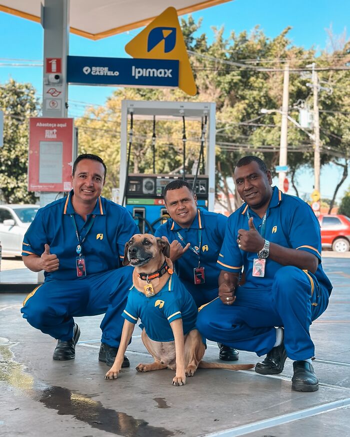 Three gas station workers and a dog wearing matching blue uniforms posing together at a gas station, highlighting the hero dog. Three gas station workers and a dog wearing matching blue uniforms posing together at a gas station, highlighting the hero dog.