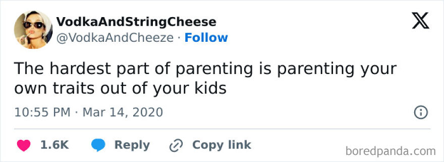 Parenting meme highlighting the challenge of managing your own traits in your kids.