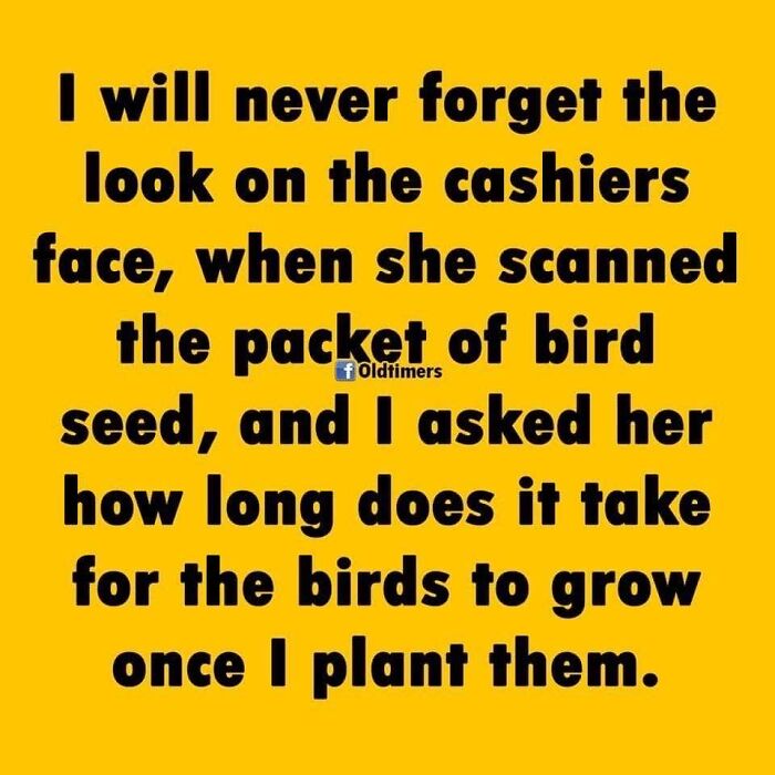 Funny dad joke text on yellow background about asking how long bird seeds take to grow, from a Facebook group.