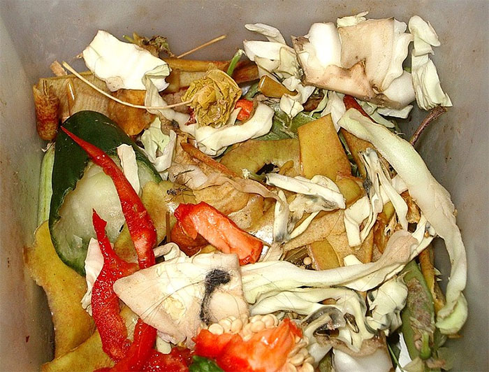 Kitchen chaos with food scraps in a messy pile, highlighting break policy impact. Kitchen chaos with food scraps in a messy pile, highlighting break policy impact.