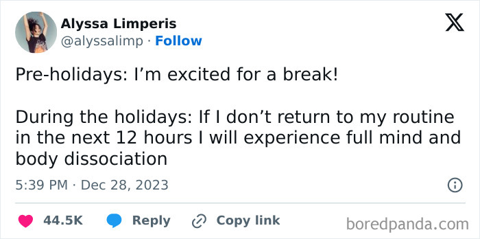 Random relatable meme about holiday expectations versus reality, highlighting pre-holiday excitement and holiday routine anxiety.