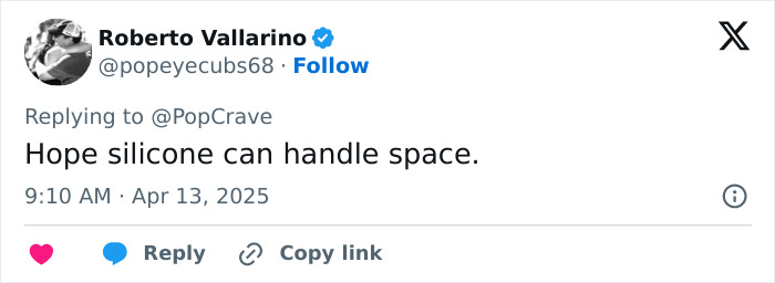 Tweet referencing Lauren Sanchez's filler in space mission context. Tweet referencing Lauren Sanchez's filler in space mission context.