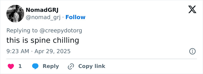 Tweet from user NomadGRJ stating this is spine chilling in response to a horrifying viral video of a tourist zip-lining. Tweet from user NomadGRJ stating this is spine chilling in response to a horrifying viral video of a tourist zip-lining.