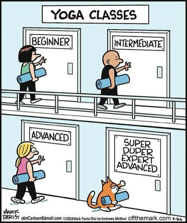 Cartoon of a cat with a yoga mat heading into a "Super Duper Expert Advanced" yoga class, illustrating life with a cat humor.