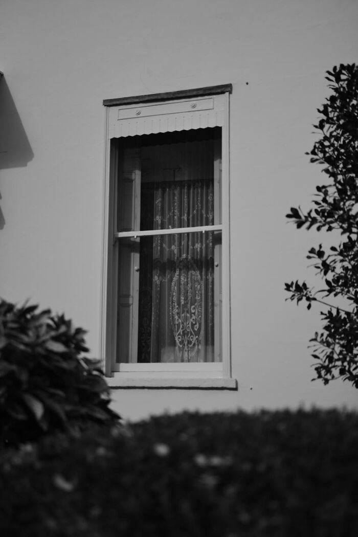 Gradient Loss - 20 March 2025 (14:21)