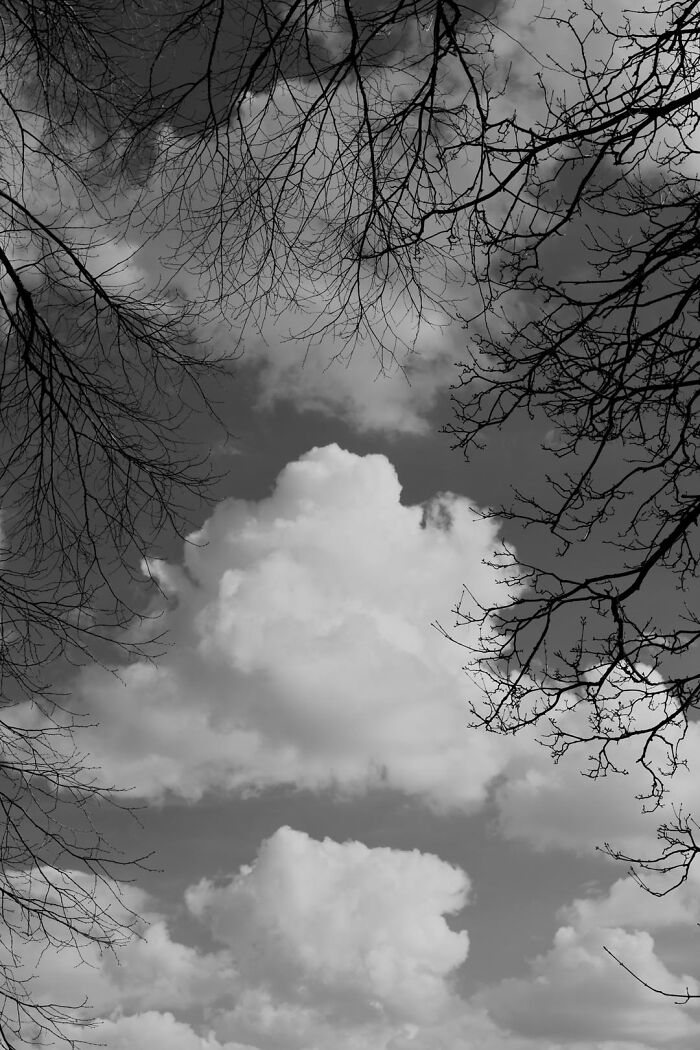 Gradient Loss - 20 March 2025 (14:56)