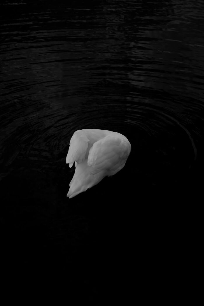 Gradient Loss - 20 March 2025 (15:03)