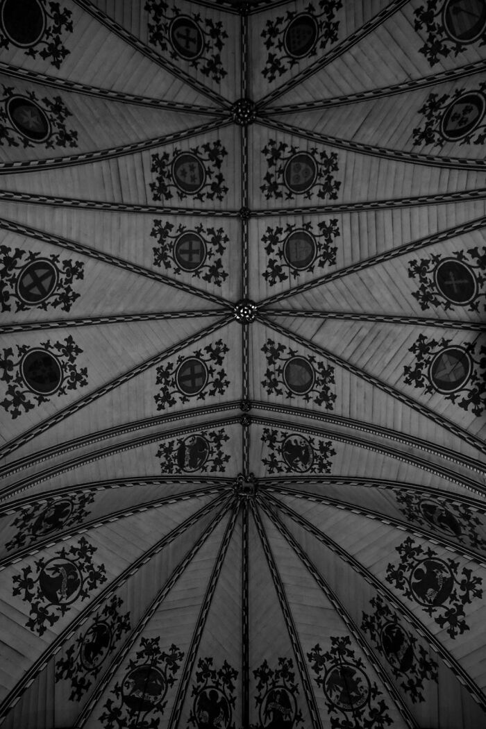 Gradient Loss - 20 March 2025 (15:56)