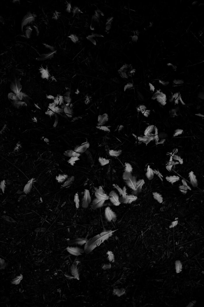 Gradient Loss - 22 March 2025 (16:41)