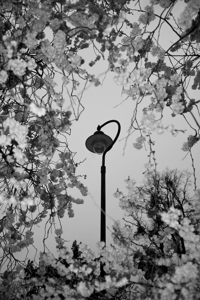 Gradient Loss - 22 March 2025 (16:55)