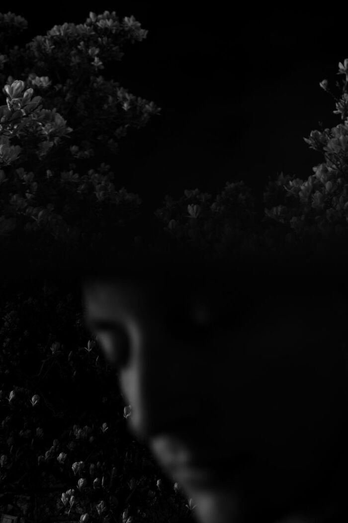 Gradient Loss - 23 March 2025 (00:37)