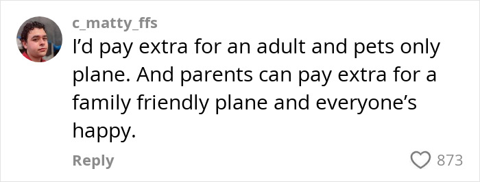 Comment on flight suggesting separate planes for adults and families after incident with sleeping mother and child. Comment on flight suggesting separate planes for adults and families after incident with sleeping mother and child.