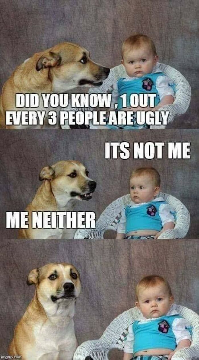 Dog and baby sharing a funny dad joke about ugliness in a humorous dad joke post from Facebook group.