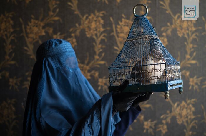 Person in a blue garment holding a birdcage against a floral wallpaper backdrop, capturing a contemplative moment.
