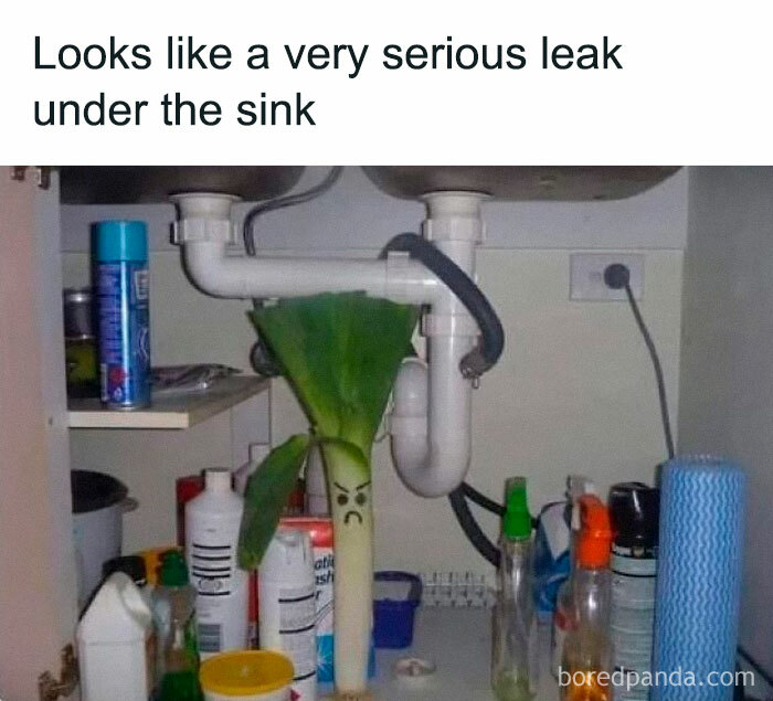 Literal meme of a leek with an angry face under the sink, resembling a plumbing issue.