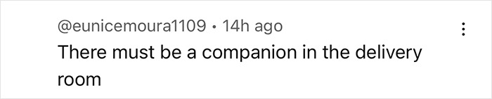 Comment by user @eunicemoura1109 stating, "There must be a companion in the delivery room," about a pregnant woman's experience. Comment by user @eunicemoura1109 stating, "There must be a companion in the delivery room," about a pregnant woman's experience.