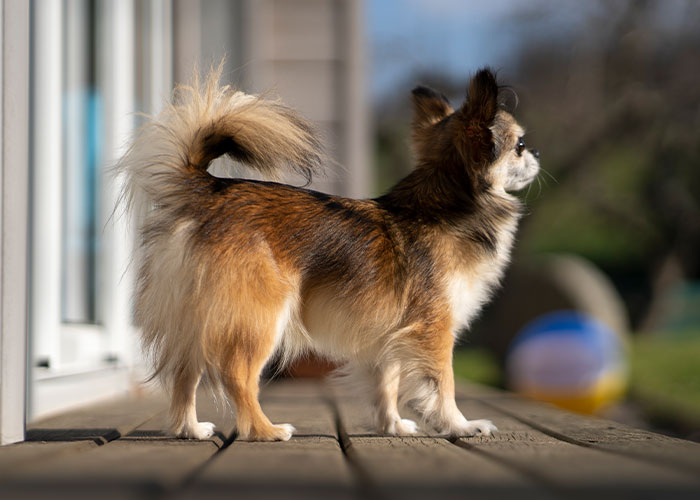 People Share 30 Times Their HOAs Took Things Way Too Far