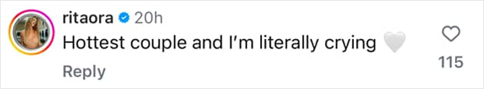 Instagram comment on a post about Kristen Stewart and wife Dylan Meyer praising them as a couple with a gray heart emoji. Instagram comment on a post about Kristen Stewart and wife Dylan Meyer praising them as a couple with a gray heart emoji.