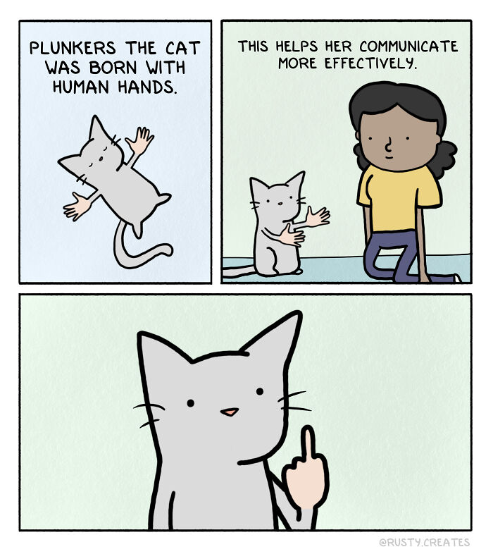 Comic of cat with human hands gesturing to a person, illustrating humorous everyday life scenarios.