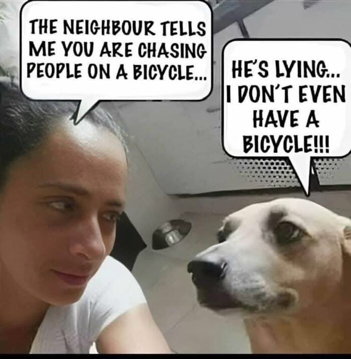 Person and dog in a funny dad joke meme from a Facebook group, with speech bubbles about chasing on a bicycle.