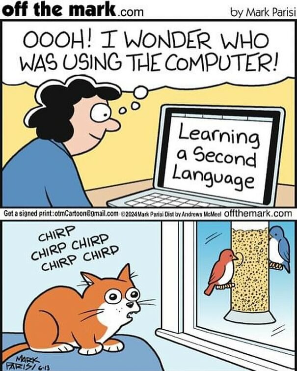 Cartoon of a cat learning bird language from a computer, humorously depicting life with a cat.