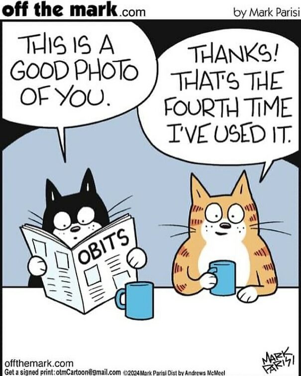 Two cats with coffee, one reads a newspaper, sharing a funny moment. Cartoon illustration of life with a cat.