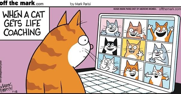 Cartoon cat attending a virtual life coaching session with multiple cats on a laptop screen.