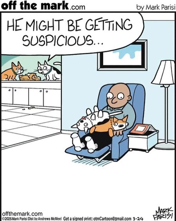 Cartoon of a person on a chair surrounded by playful cats.