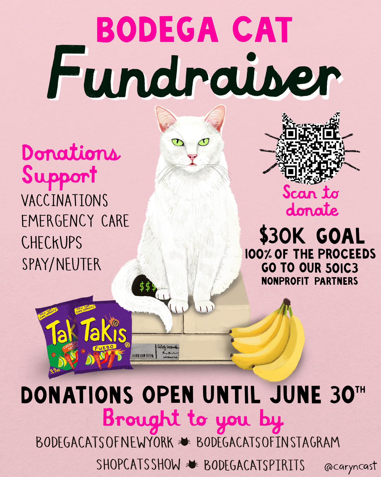 Behind The Scenes: Organizing The Bodega Cat Fundraiser