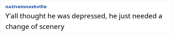 Screenshot of a comment saying, "Y'all thought he was depressed, he just needed a change of scenery. Screenshot of a comment saying, "Y'all thought he was depressed, he just needed a change of scenery.