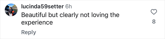 Comment on an awkward encounter post, reading: "Beautiful but clearly not loving the experience. Comment on an awkward encounter post, reading: "Beautiful but clearly not loving the experience.