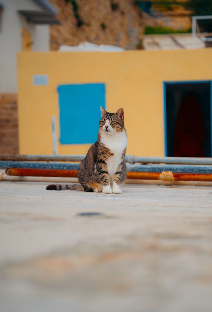 I Spent A Few Days Photographing The Beautiful Valletta, Malta