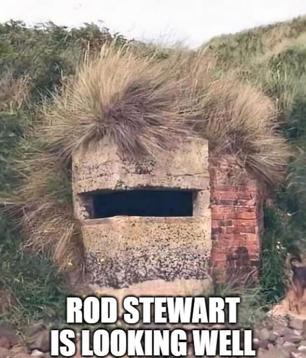 Concrete bunker with grass resembling hair, showcasing Scots' humor. Text reads: "Rod Stewart is looking well."
